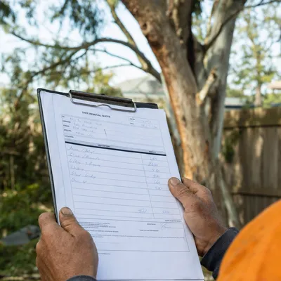 Reading a written tree removal quote on site in North Shore