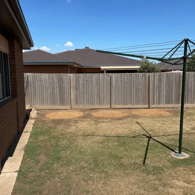 After: Camphor laurel removal, boundary dispute resolved, North Shore