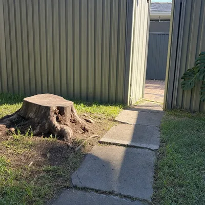 Before: Stump grind on a steep backyard slope, North Shore