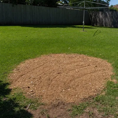 Chips and mulch on site, North Shore